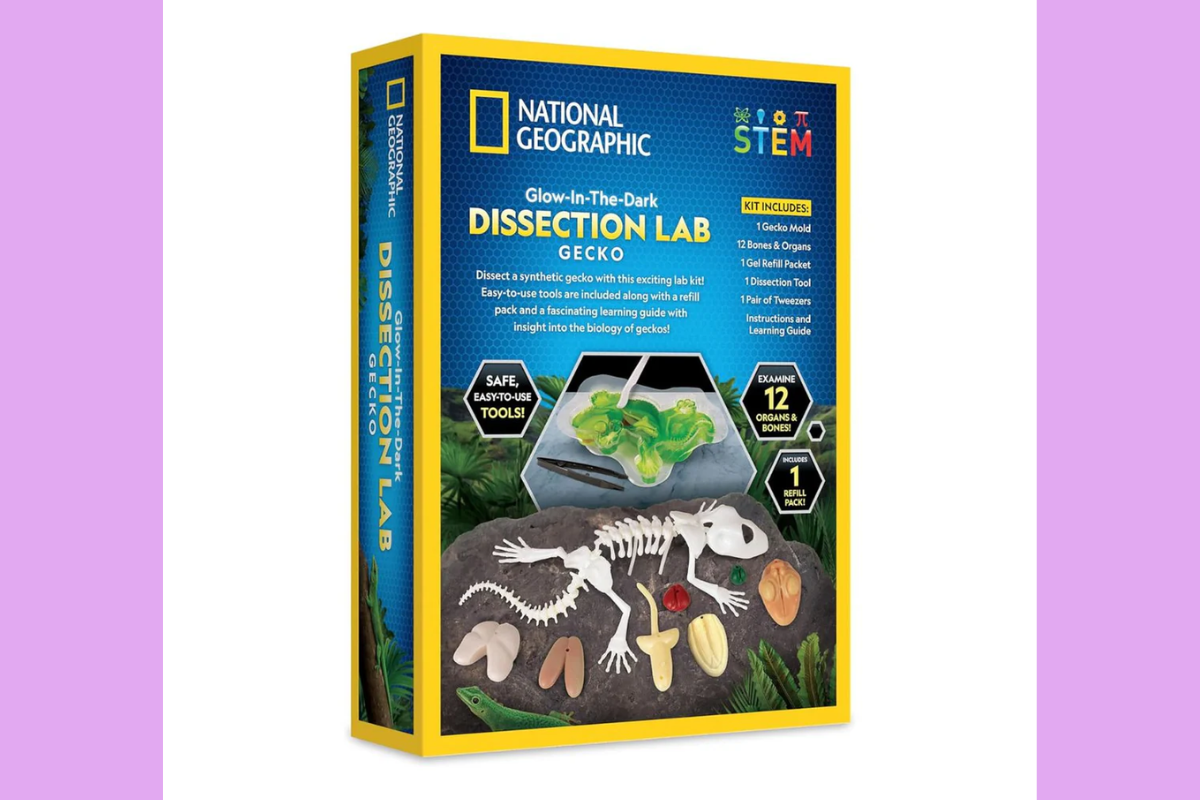 san-pham-steam-giai-phau-than-lan