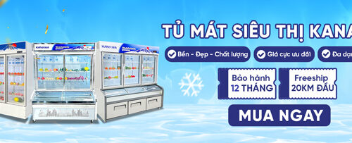 Tủ Mát Đứng Hay Nằm Tốt Hơn? Chọn Sai Là Mất Tiền – Xem Ngay!